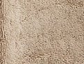Forêt hivernale beige