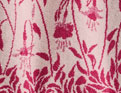 Les fuchsias beige