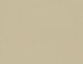 Jersey extensible beige safari