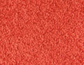 Matinale ecarlate