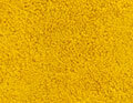 Happiness tournesol