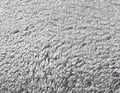 Matinale gris brume