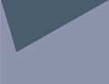 Coton fin bleu nuit/bleu chardon