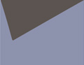 Coton fin carbone/bleu chardon
