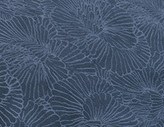 Entrée en matière indigo
