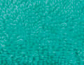 Parenthèse mint