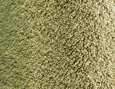 Matinale olive