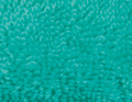 Parenthèse mint