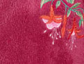 Les fuchsias fuchsia