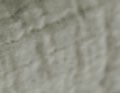 Les Papyrus galet