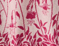 Les fuchsias beige