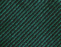 Byzance vert cedre