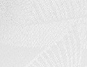 Dégustation blanc