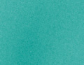 Schmetterlingsblume türkis