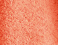 Parenthèse corail