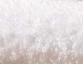 Weiss
