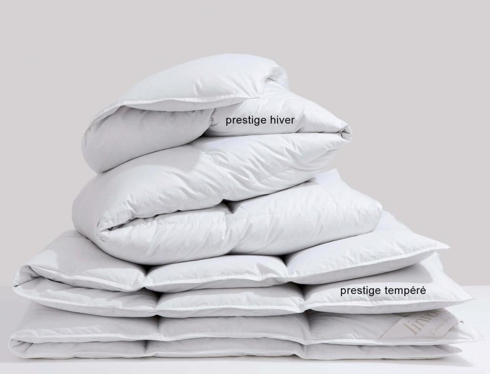 Prestige hiver canard blanc